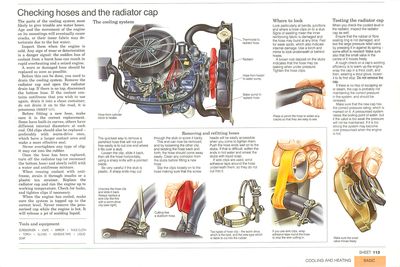 Checking hoses and the radiator cap